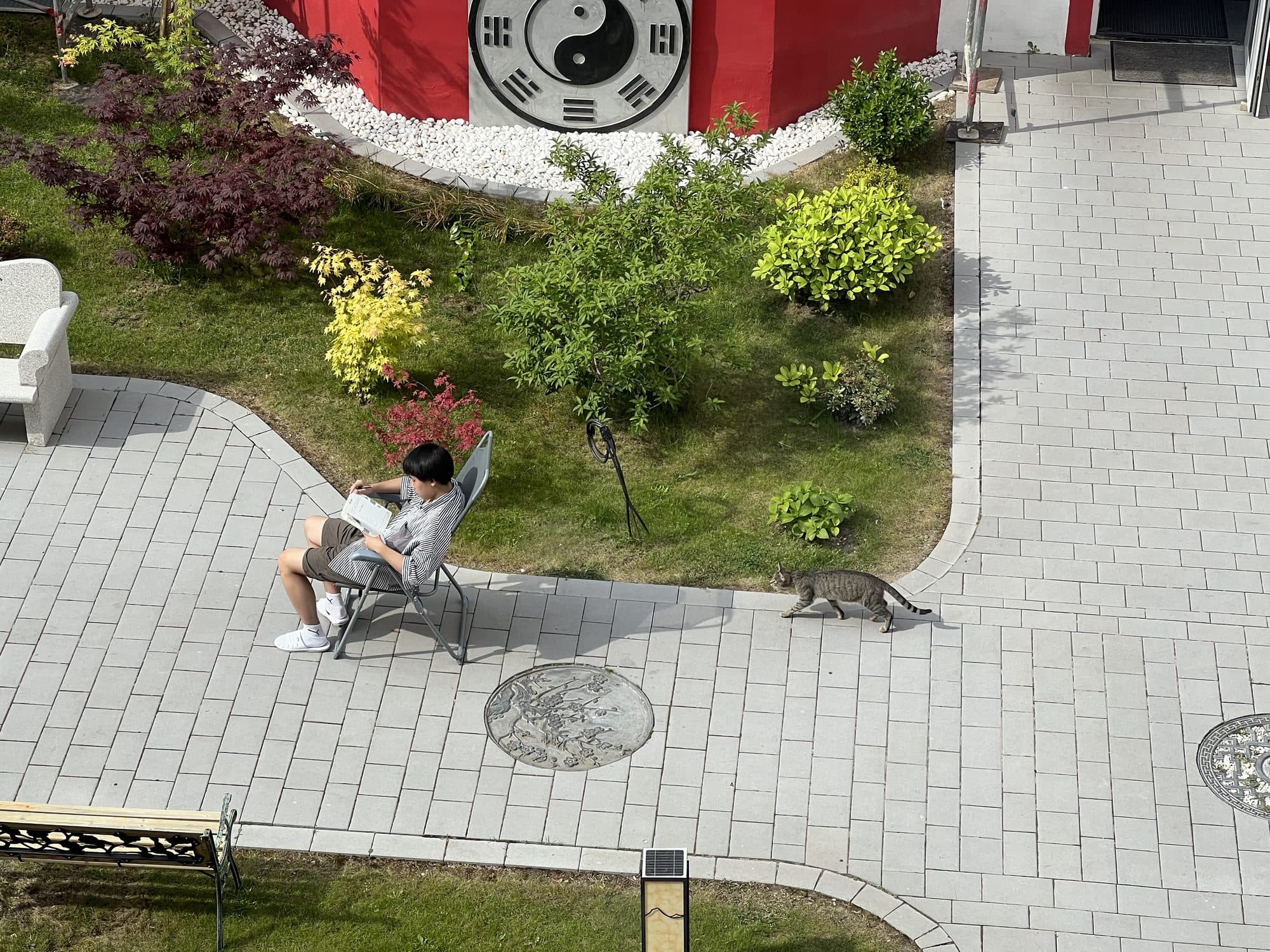 Lesende Person auf einem Gartenstuhl im Innenhof, davor läuft eine Katze über den Weg